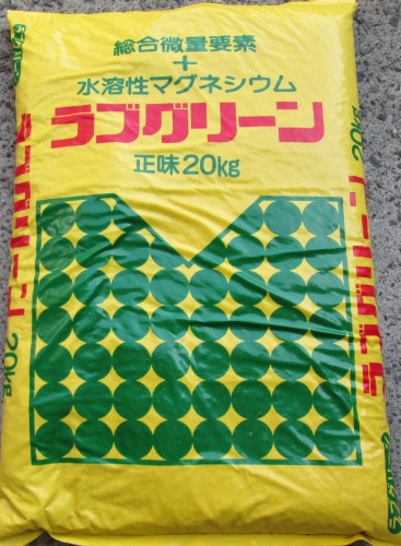 IMG_0057 - コピー.JPG