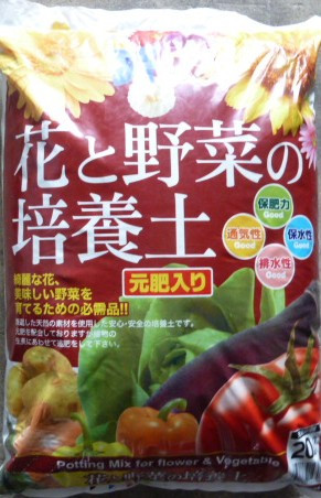 P1180653 - コピー.JPG