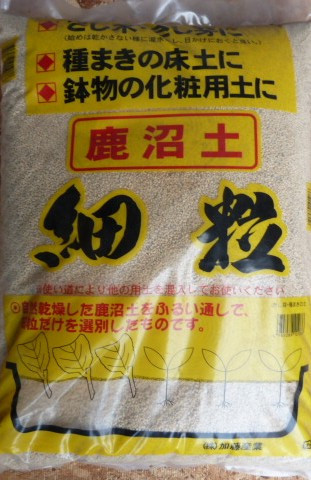 P1140934 - コピー.JPG
