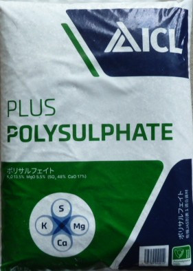 P1180470 - コピー.JPG