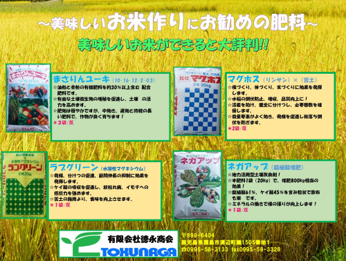 水稲おすすめチラシ.jpg