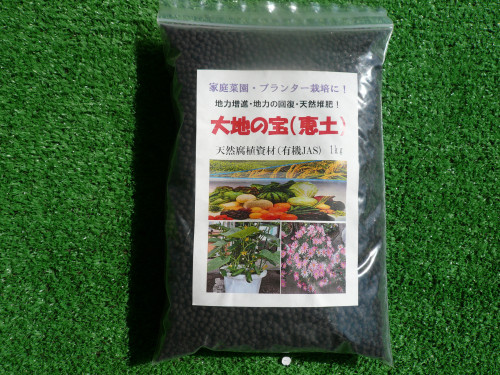 P1030081.JPG