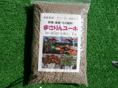 P1030079.JPG