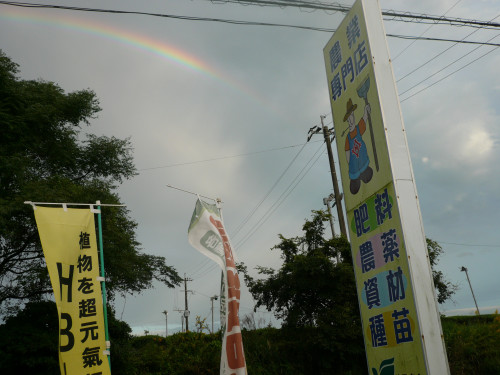 P1030091.JPG