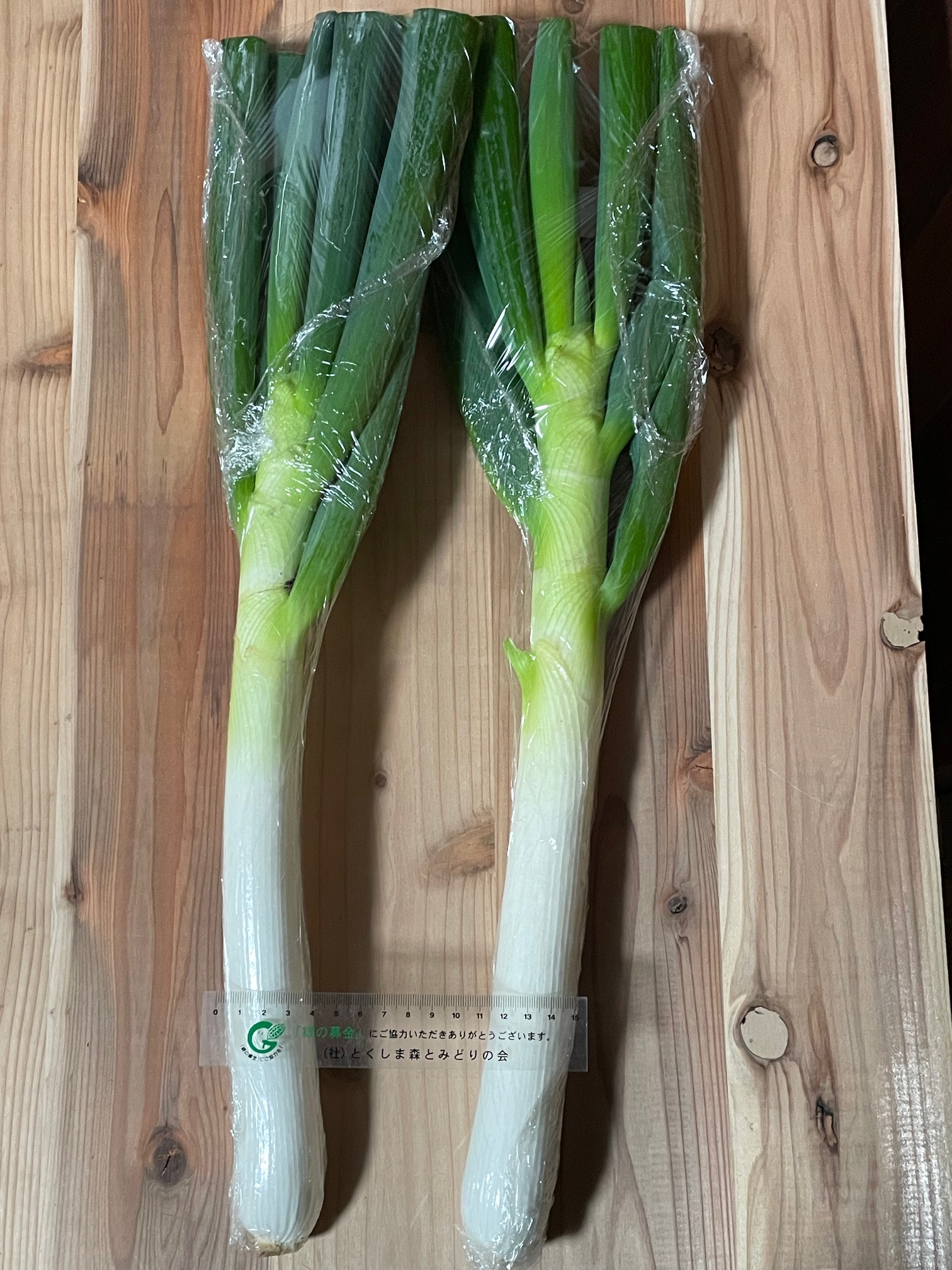 収穫　　　2026/1/23