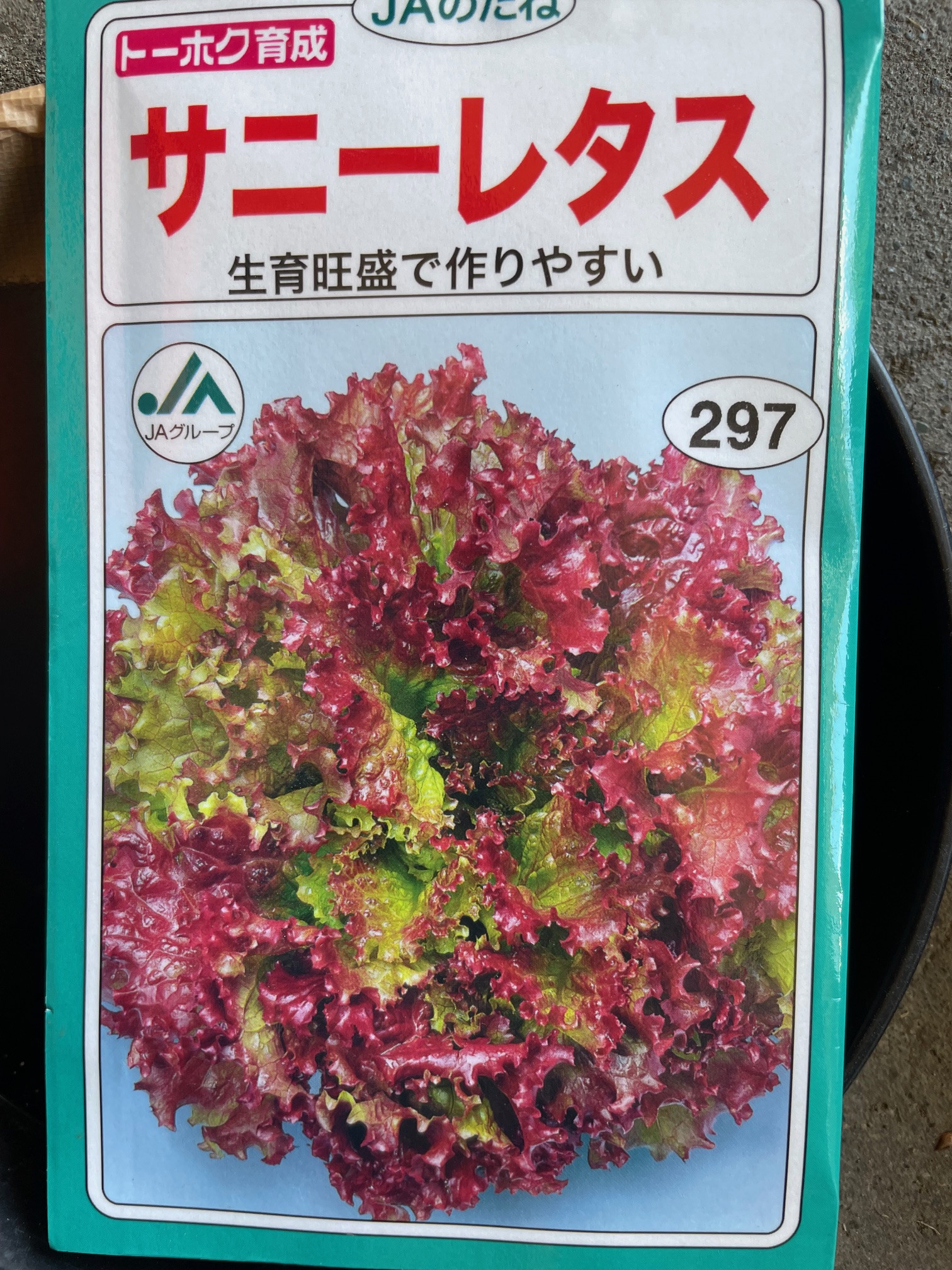 生産者　　森　博之