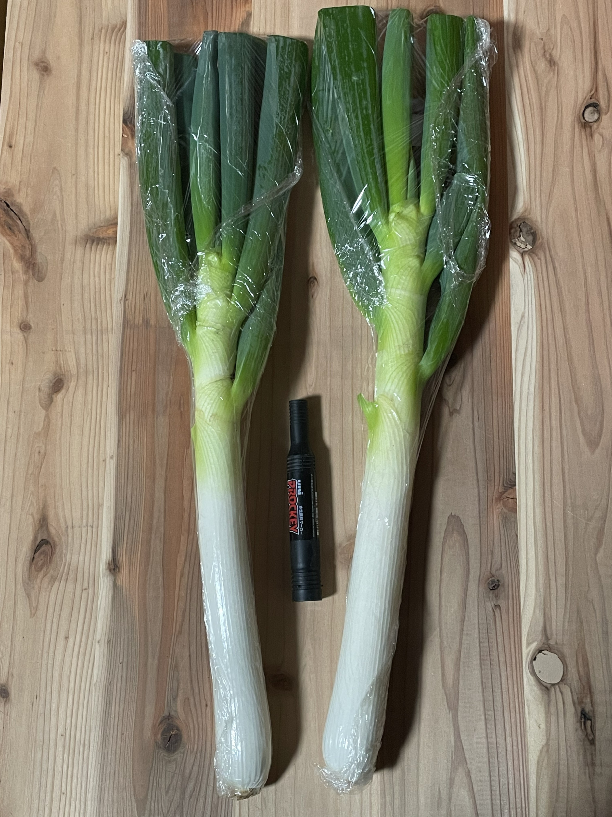 ボリュミーでトーロトロ