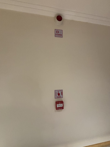 IMG_2809.jpeg