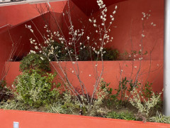 IMG_0394.jpeg