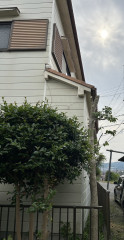 IMG_0507.jpeg