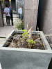 IMG_0531.jpeg