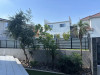 IMG_0535.jpeg