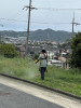IMG_0571.jpeg