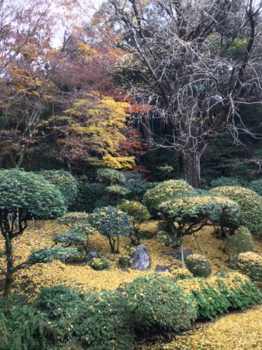 乗台寺.jpeg