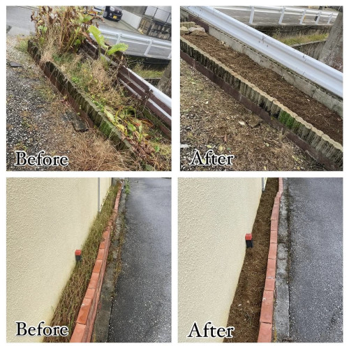 Before→After