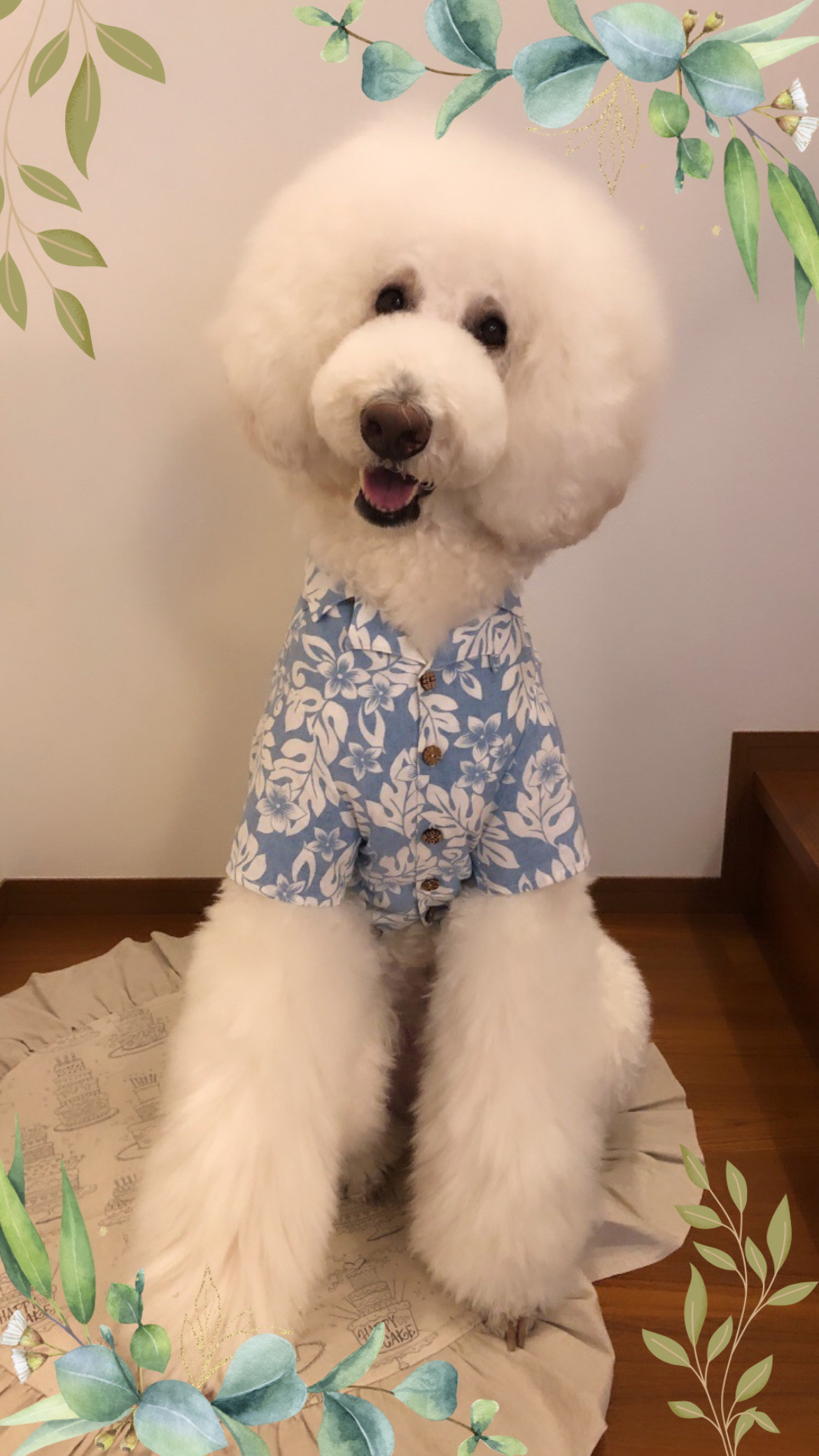 ６月のご予約お待ちしております🫧