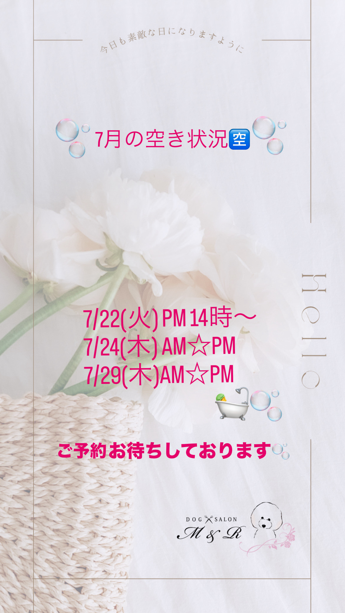 ７月のご予約状況🫧