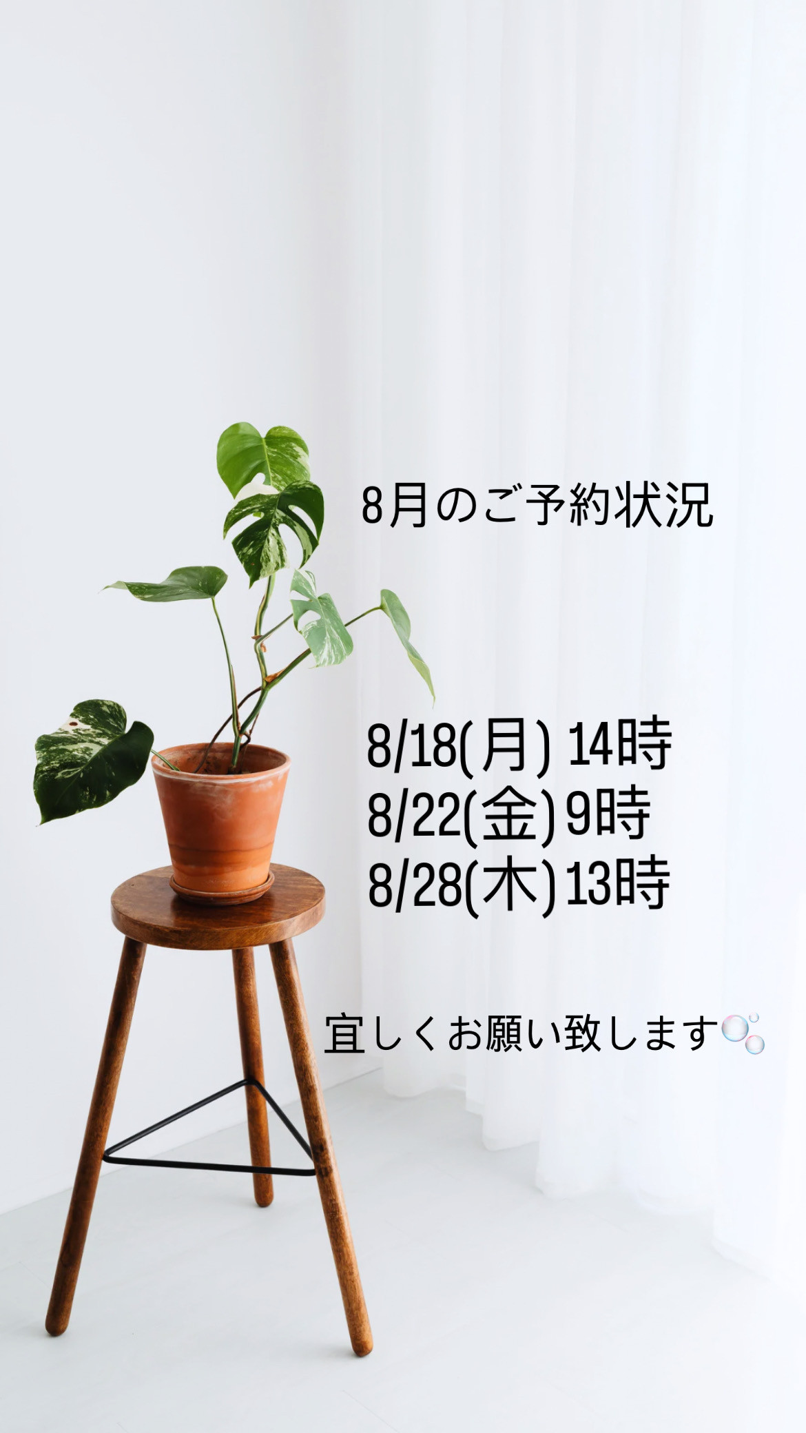 ８月のご予約状況になります🫧