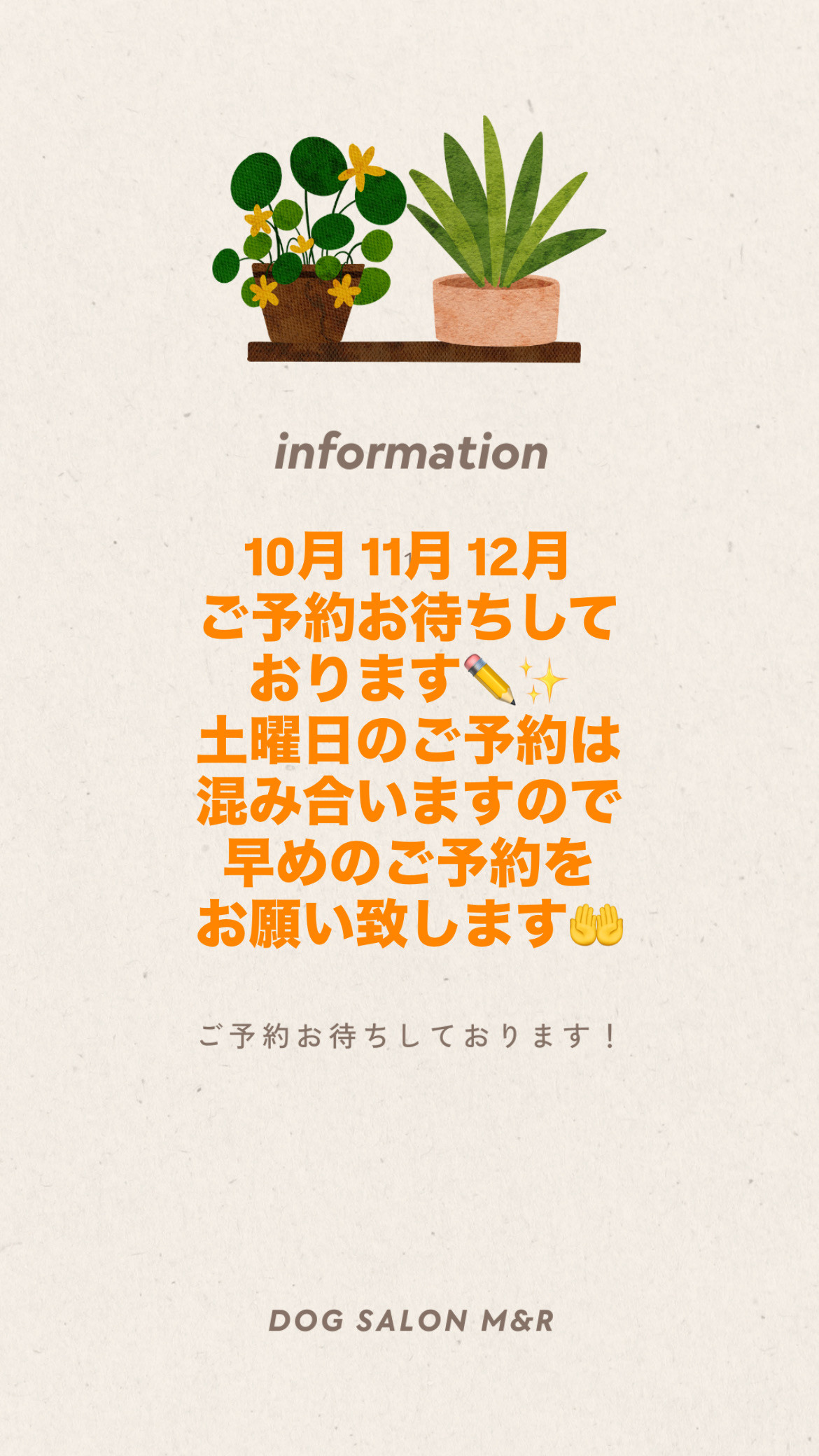 10月11月12月のご予約✨