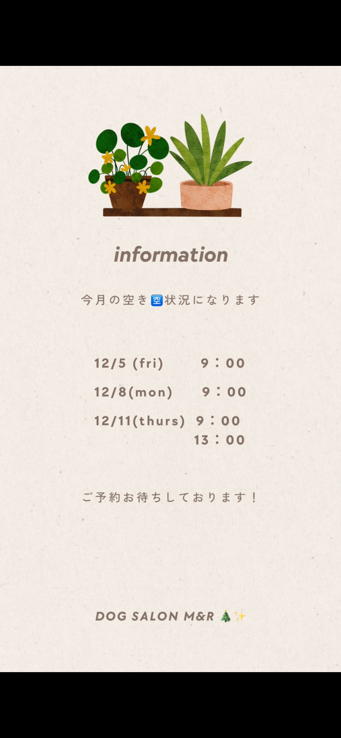 最新　12月の空き状況🈳