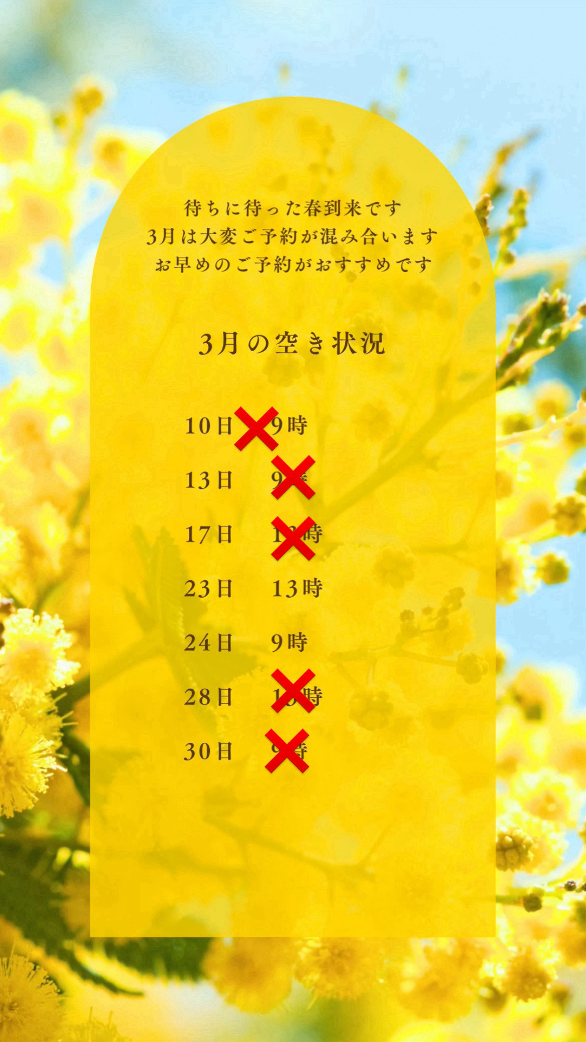 3月の空き状況&ノミマダニ＆ご予約メールについて