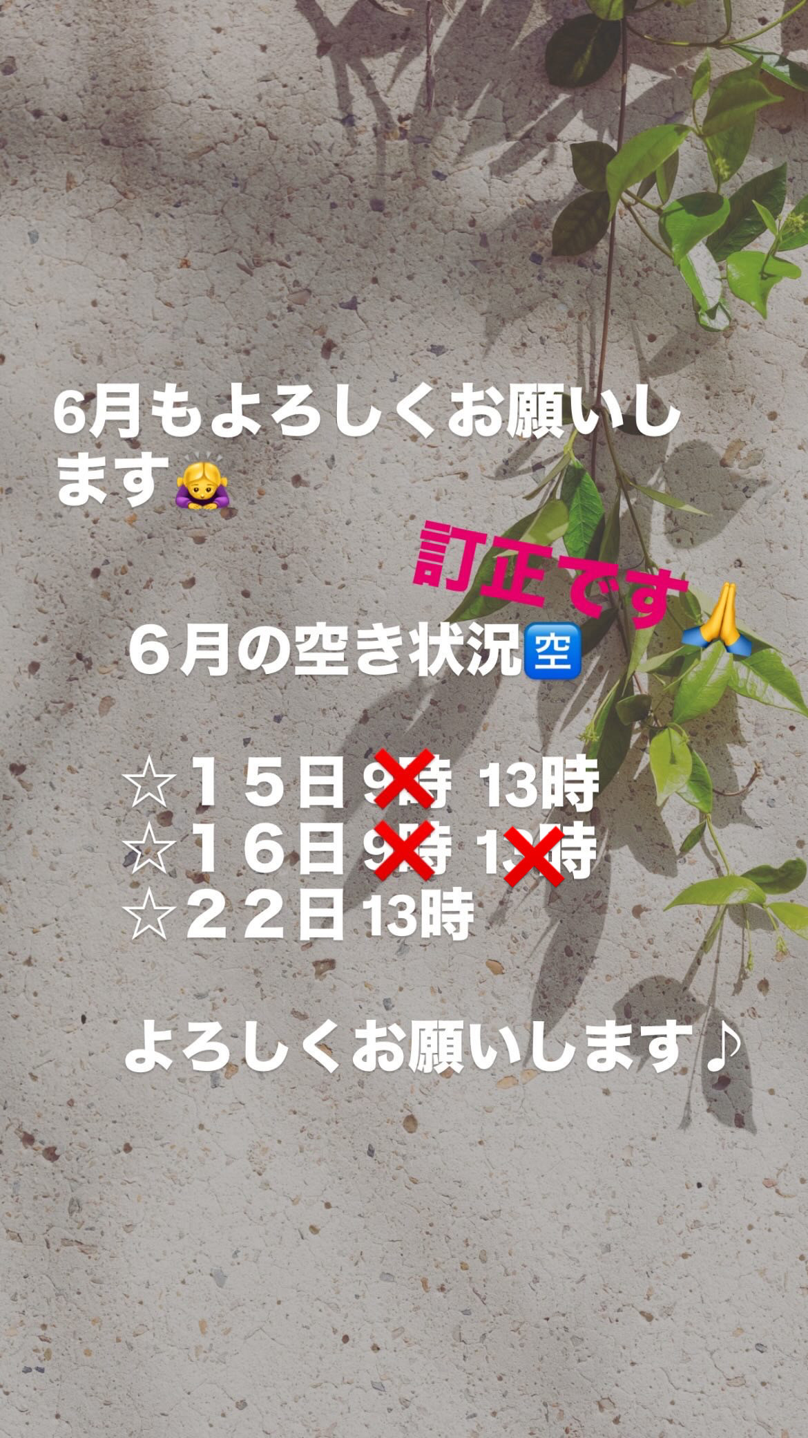 6月の空き状況🈳