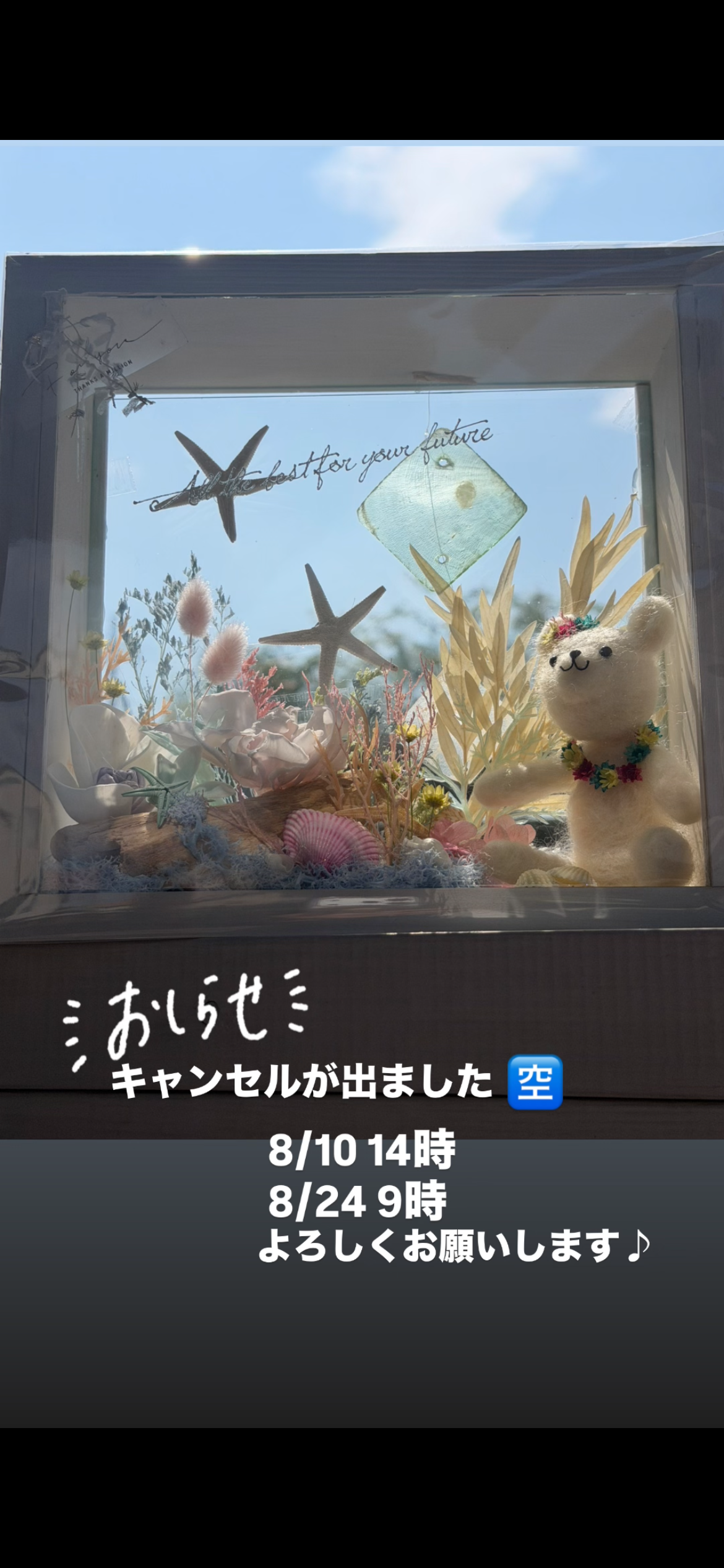 ８月の空き🈳になります✨