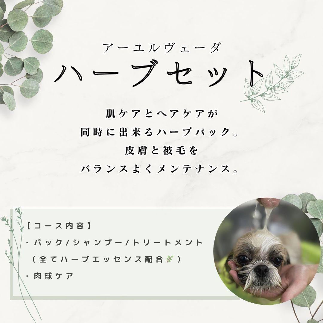 【根元からボリュームUP】