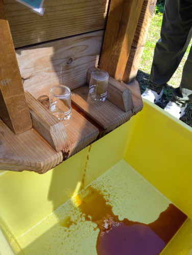 彌榮堂1年プロジェクト「醤油作り」参加者募集中
