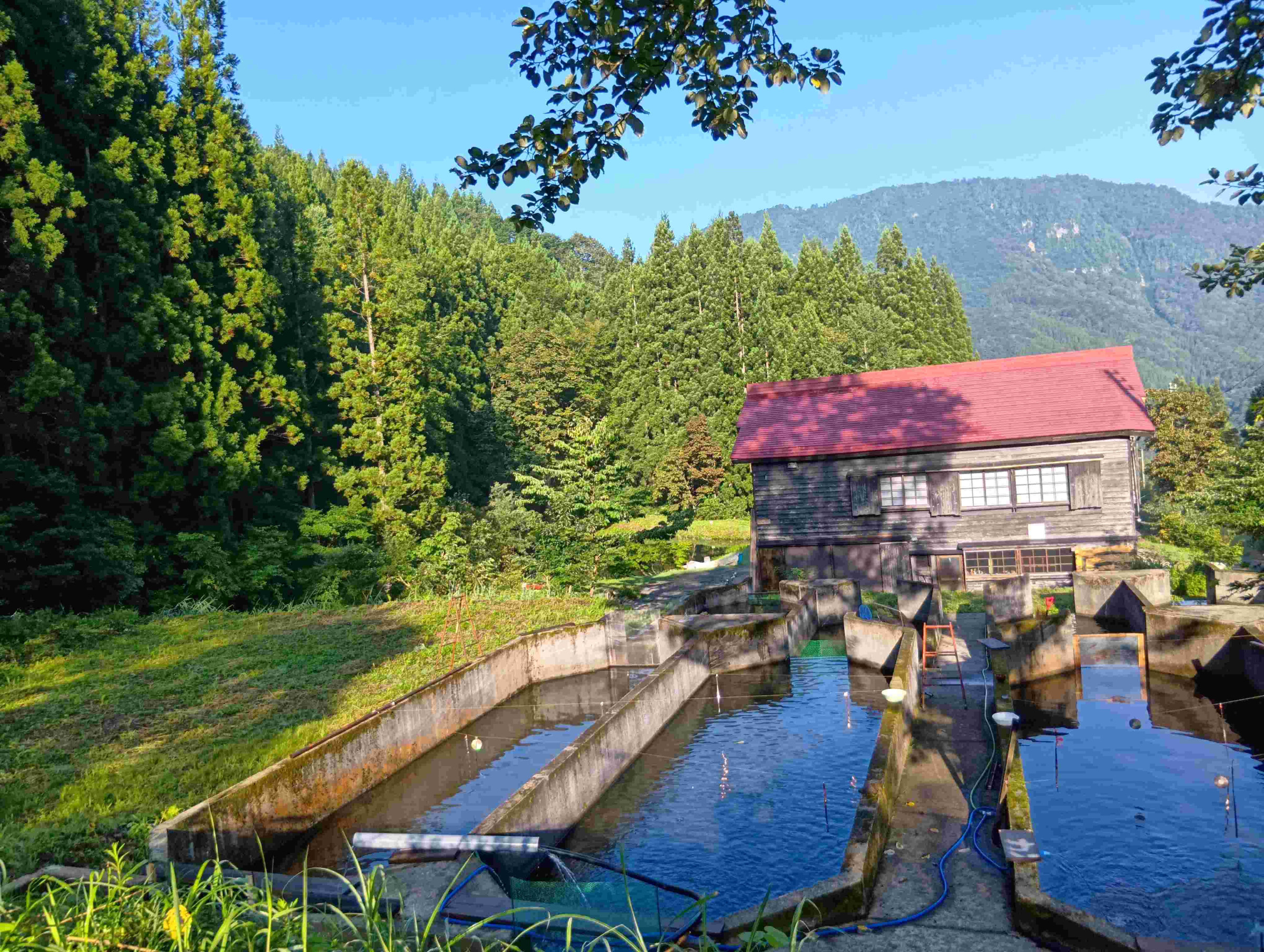 秋山郷ガーデン