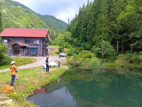 秋山郷ガーデン