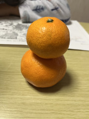 IMG_0283.jpeg