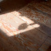 IMG_7428.jpeg