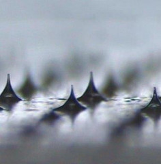 js00046286_05_0.jpg