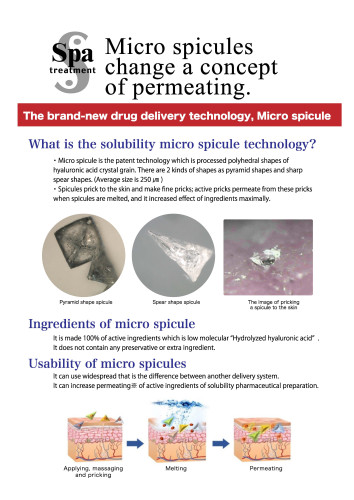 loose spicule&insert gel2.jpg