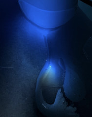 IMG_4297.jpeg