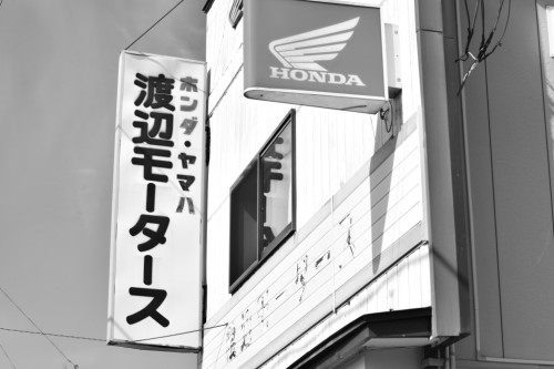 DSC_0637.JPG