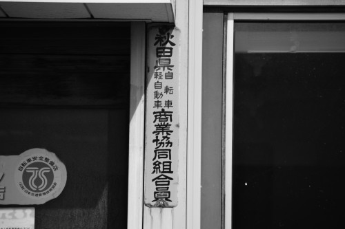 DSC_0644.JPG