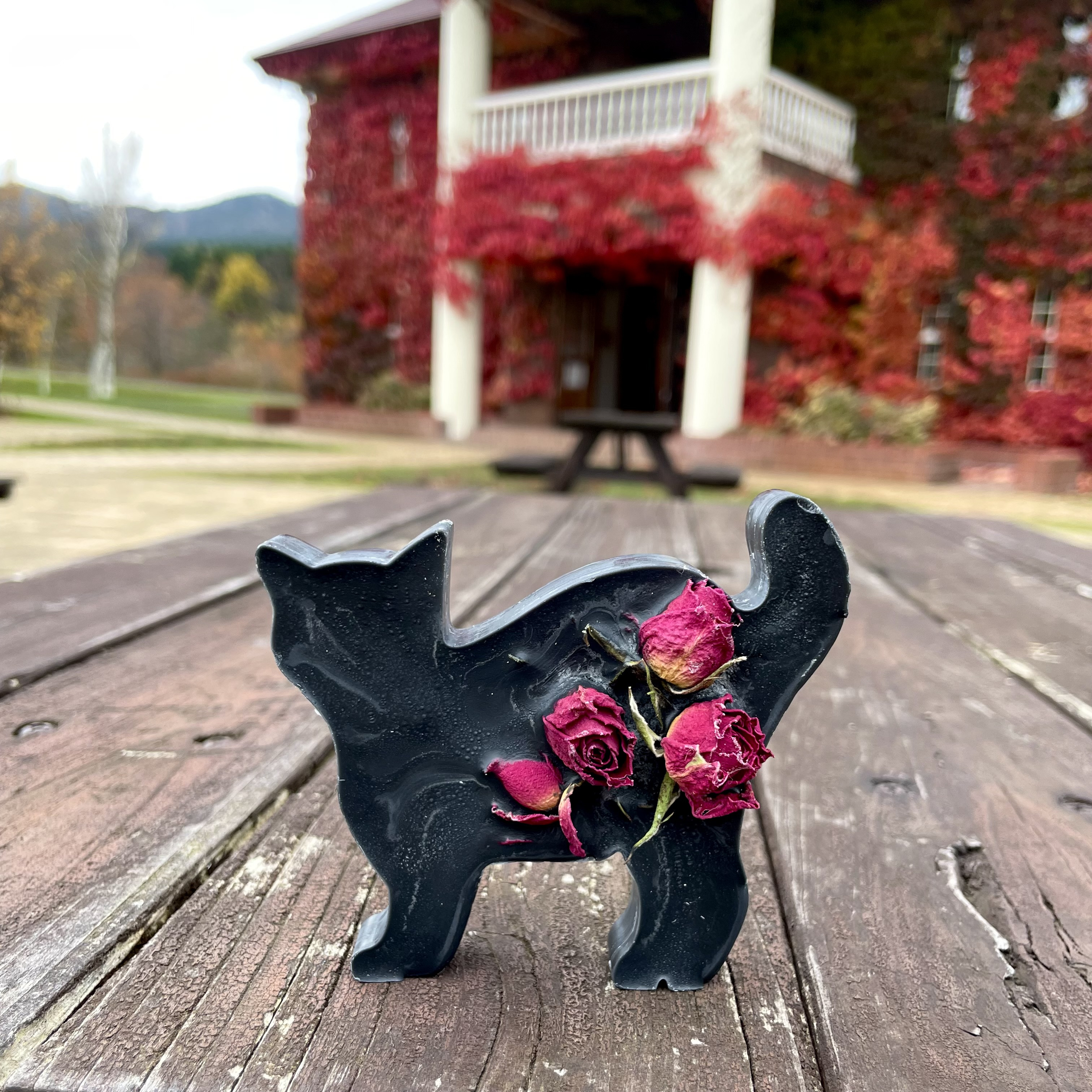 灯して楽しむ物語の世界