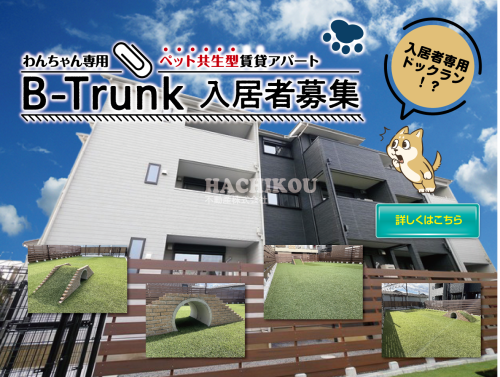 B-Trunk-002.png