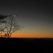 IMG_3304 2.jpeg