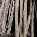 IMG_8126.jpeg