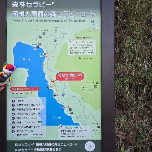 ブログ更新