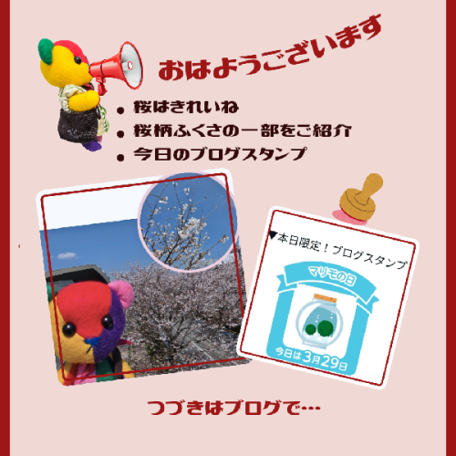 ブログ更新