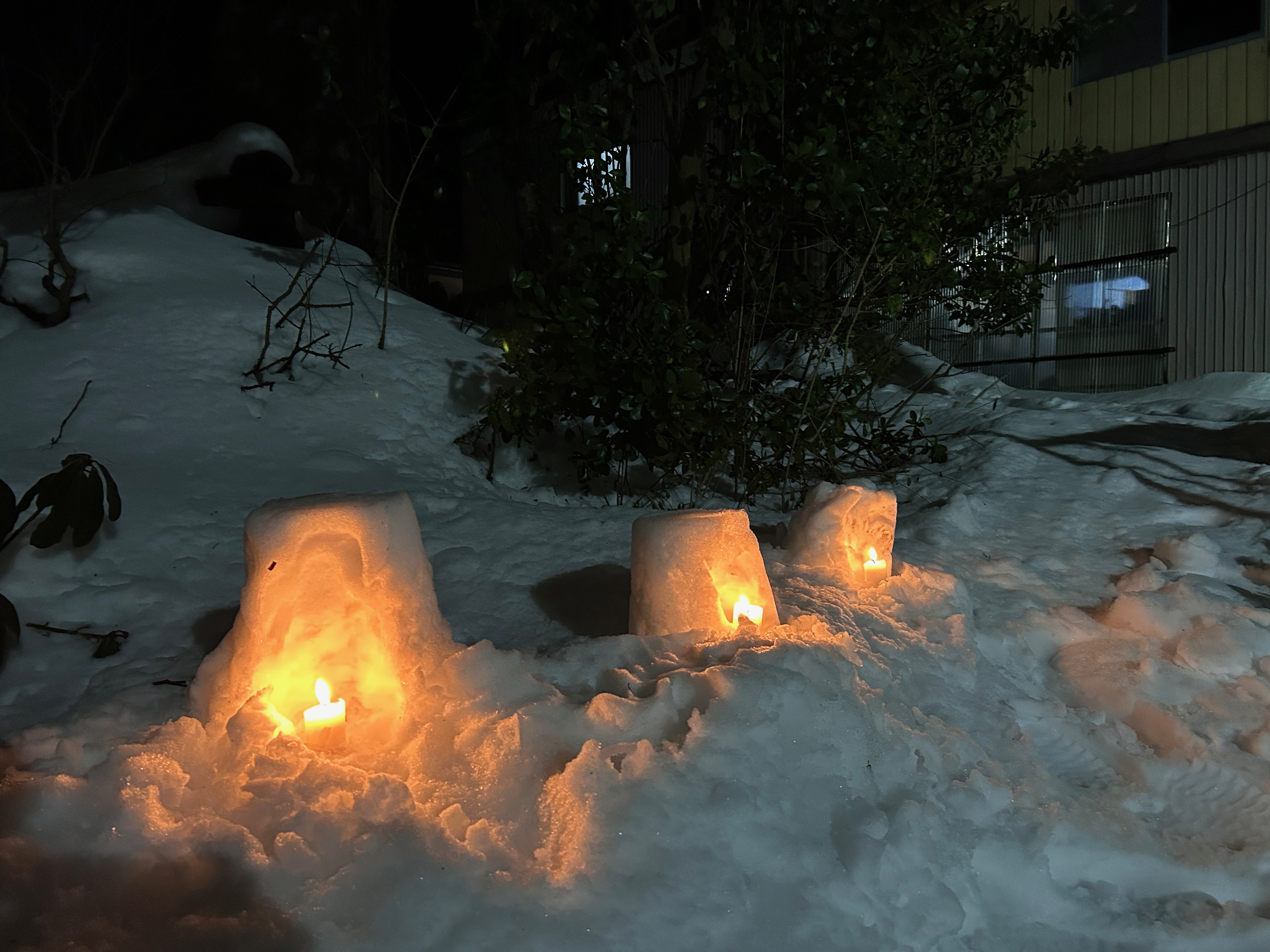 定休日のお知らせ