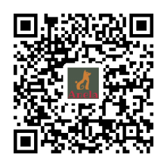 QR_629758.png