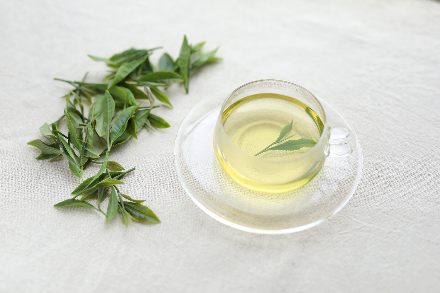 新茶の季節