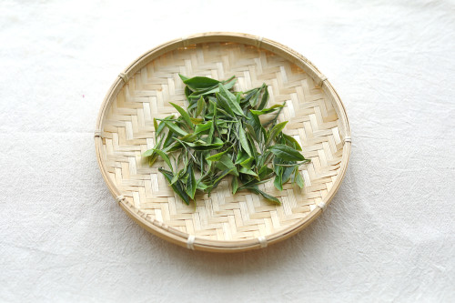 小比企茶_06.jpg