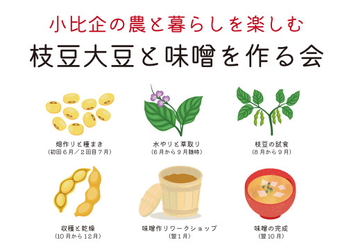「大豆と味噌を作る会」参加者募集