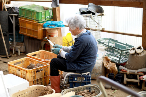 種芋とよもぎ団子